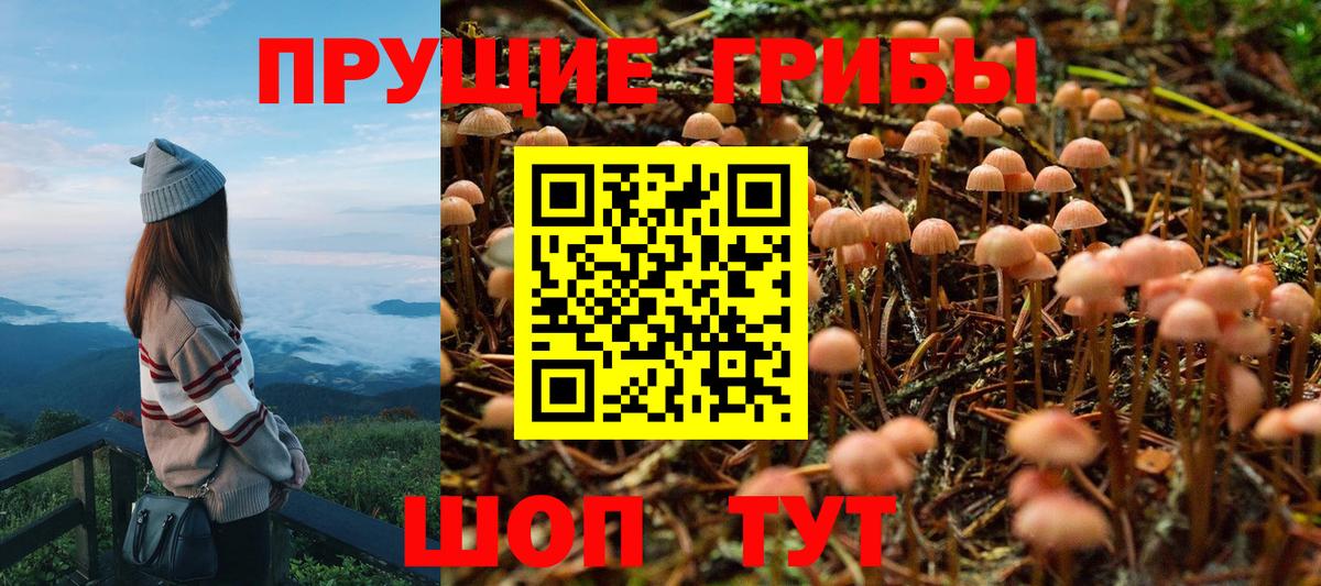 Псилоцибиновые грибы MAGIC MUSHROOMS Канск
