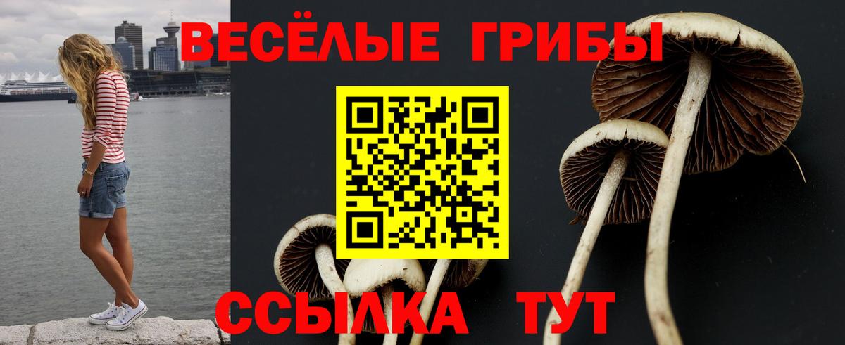 Канск  Псилоцибиновые грибы Magic Shrooms  Псилоцибиновые грибы прущие грибы  Вход с VPN 